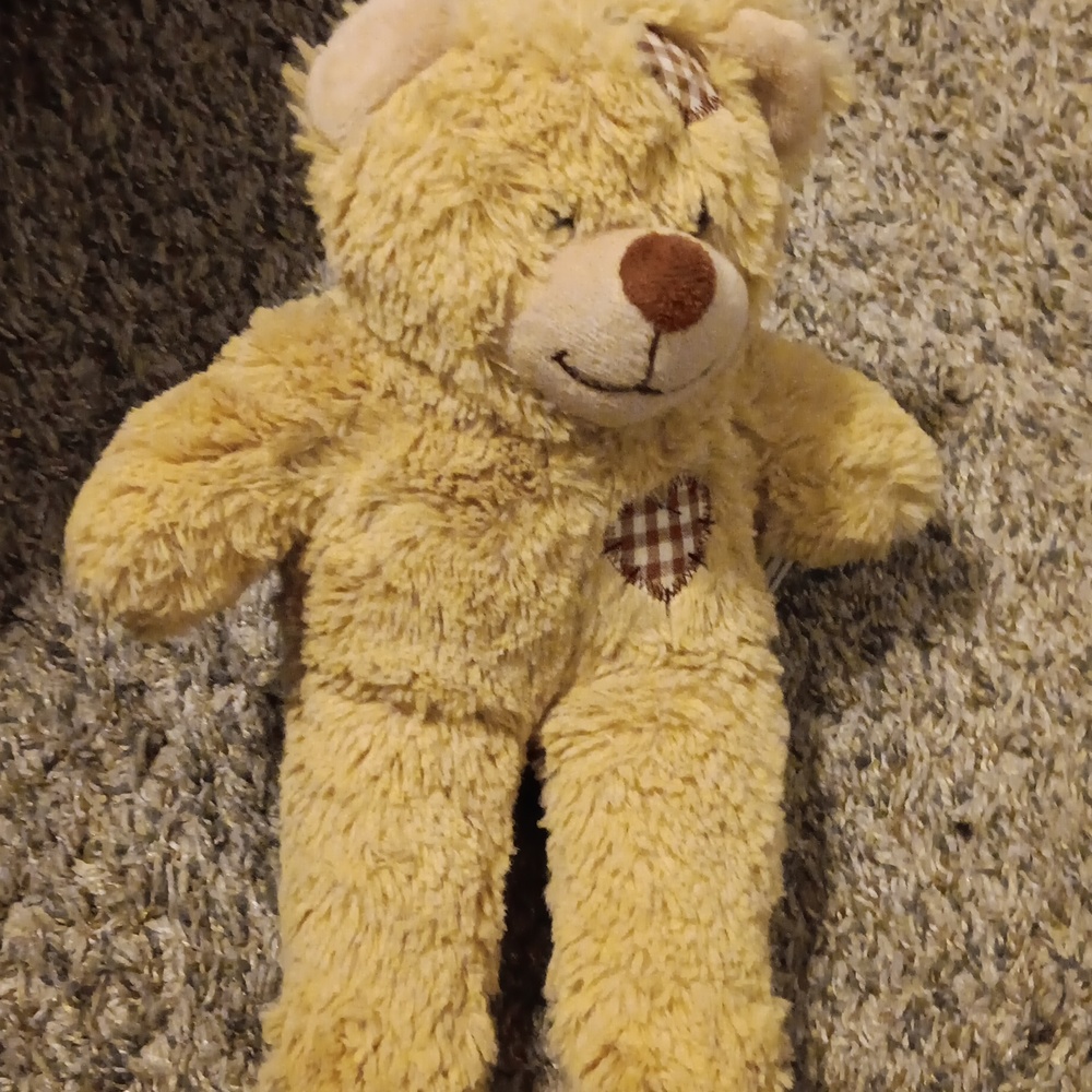 Teddy